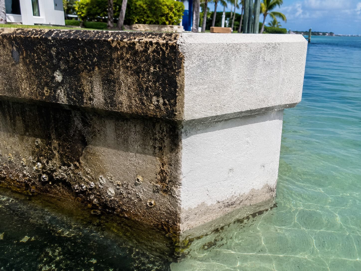Seawall Scraping & Repairs